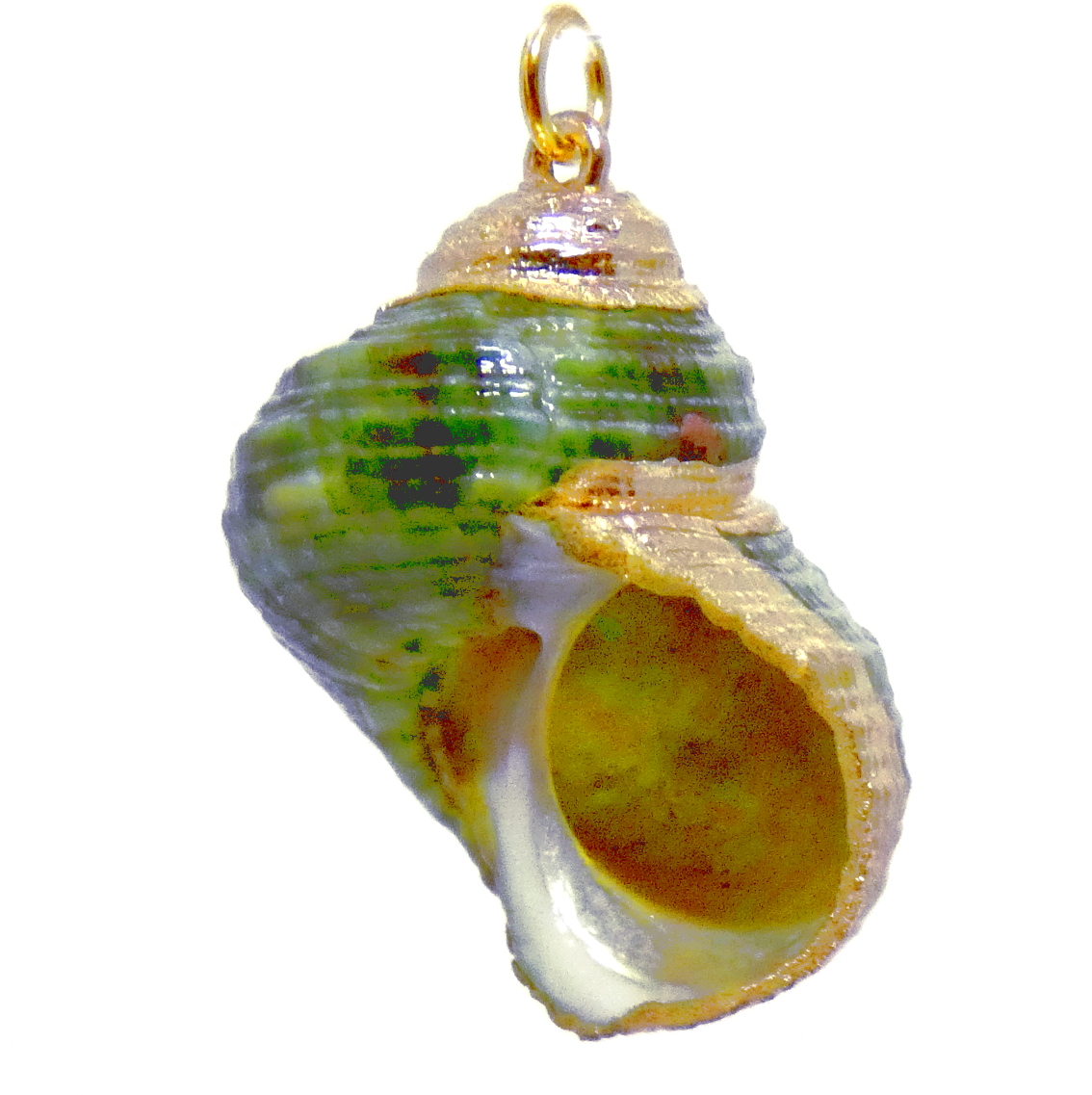 Green Spiral Shell with Gold